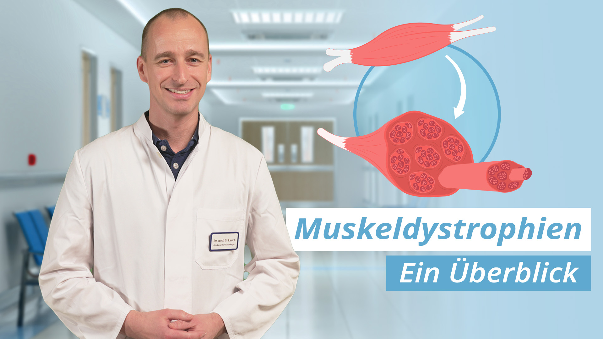 Muskeldystrophien: Symptome, Verlauf und Therapie 