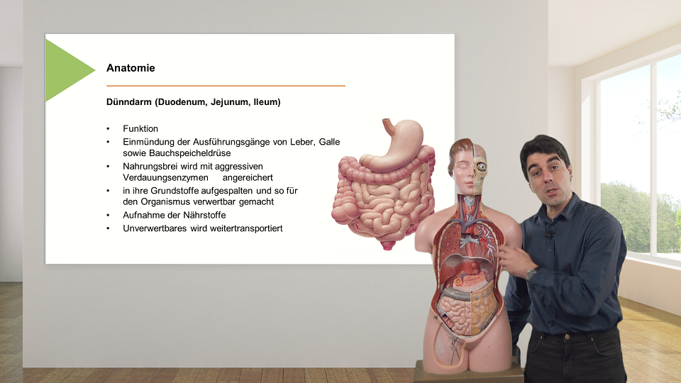 Vorschaubild zum Kurs: Grundlagen der Stomatherapie